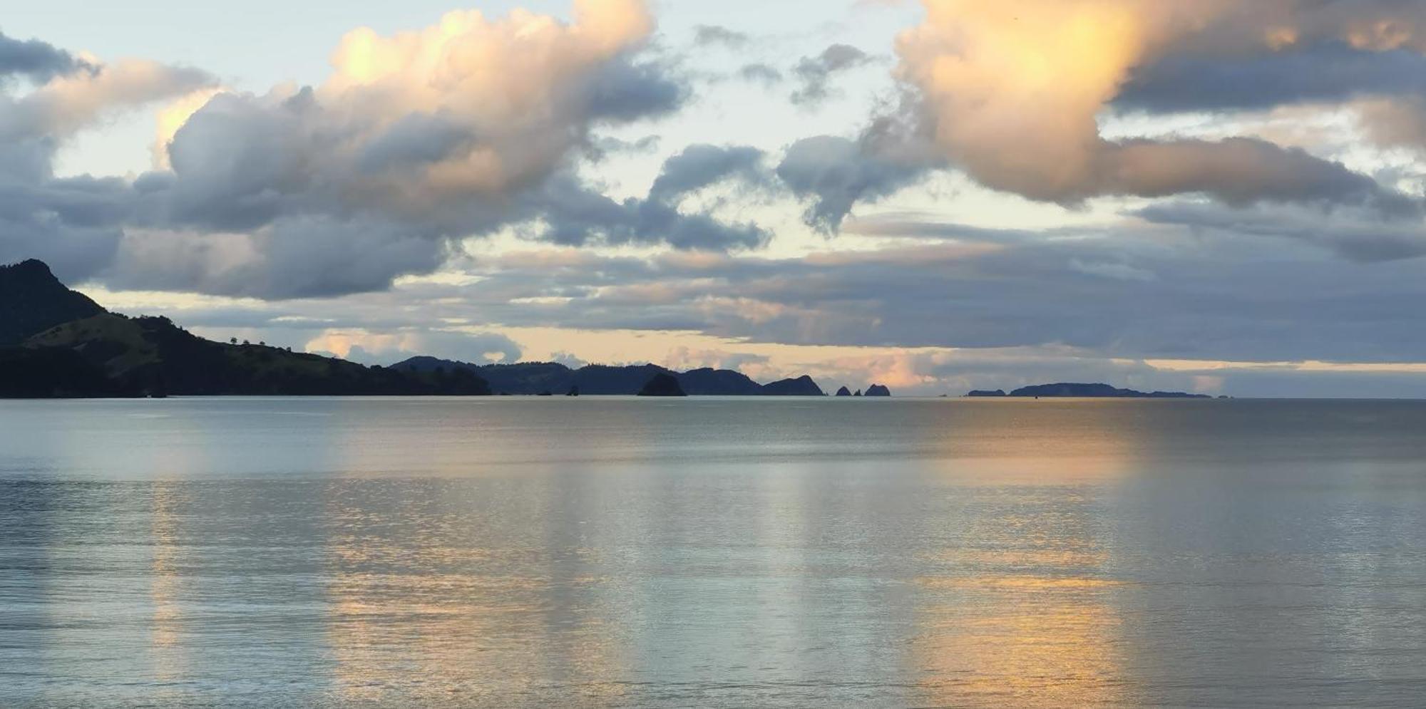 Waterfront Apartments Whitianga Kültér fotó