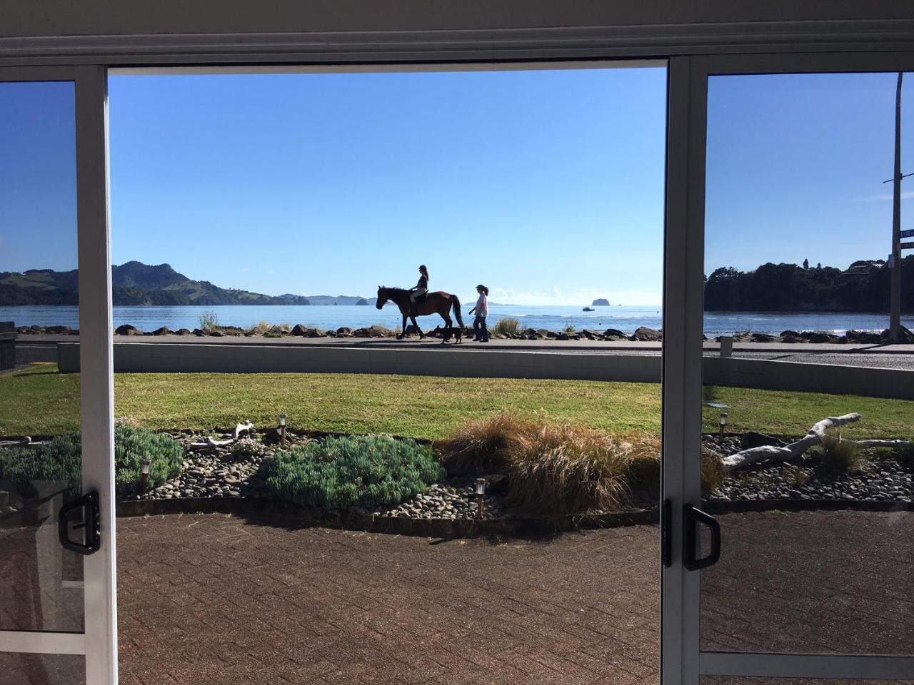 Waterfront Apartments Whitianga Kültér fotó